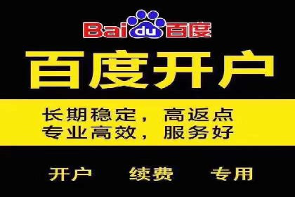 百度推广开户成功案例深度剖析